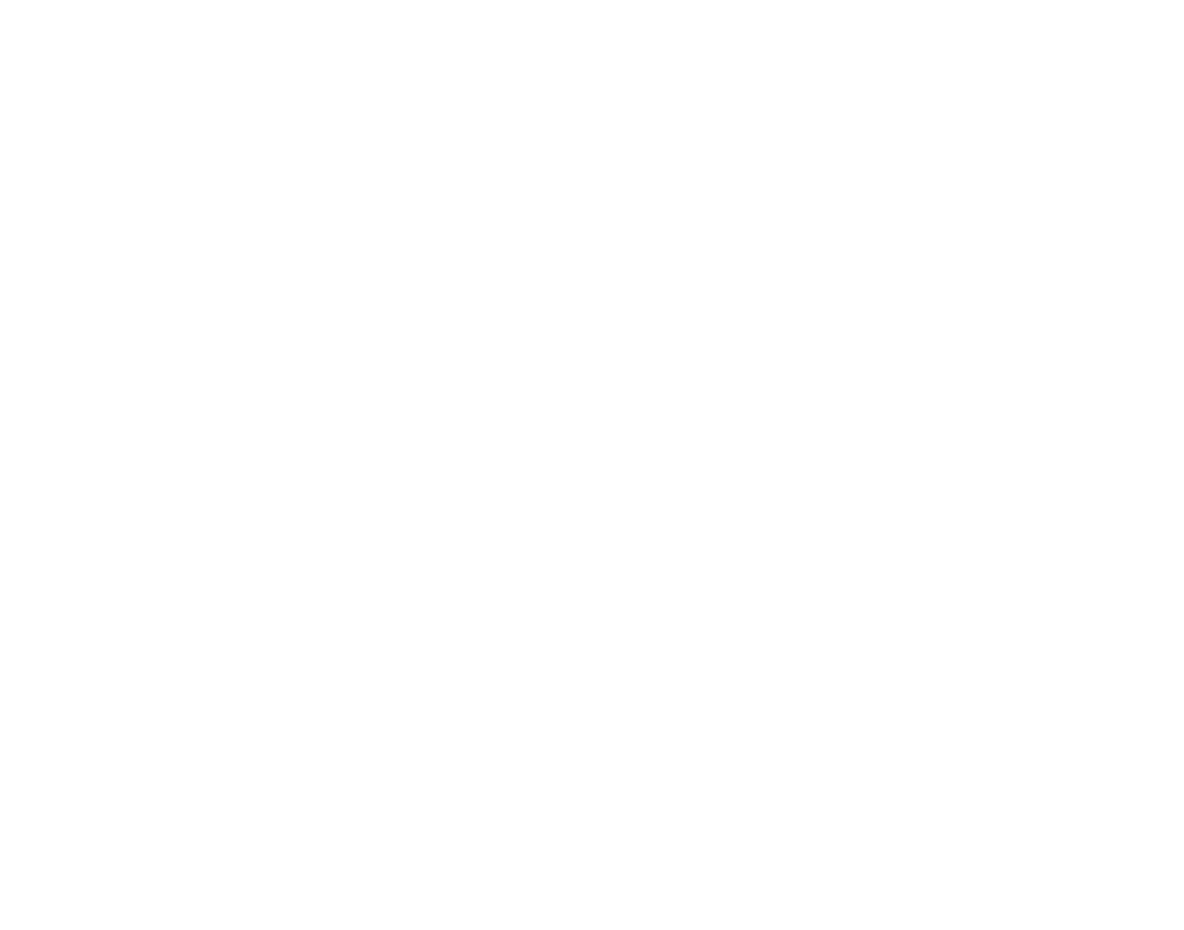 Trash Pandas